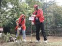 Bersih-bersih Ciliwung, Wujud Politik Hijau PDIP