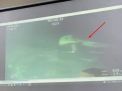Tenggelam di Kedalaman 838 Meter, KRI Nanggala-402 Pecah 3 Bagian