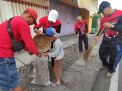 Bersih-bersih Jalan, Cara Kader PDI Perjuangan Kota Probolinggo Rayakan Bulan Bung Karno