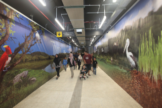 Terowongan TIJ-KBS Resmi Dibuka, Wisata ke Bonbin Surabaya Jadi Makin Betah, Ada Video Mappingnya