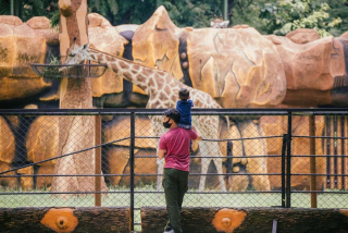 Libur Panjang, 66.000 Wisatawan Serbu Kebun Binatang Surabaya