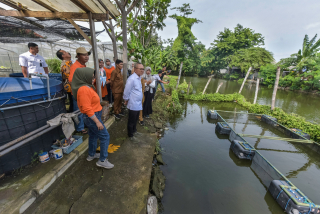 Bikin Eri Cahyadi Bangga, Urban Farming di Surabaya Dapat Pujian Menko Pangan