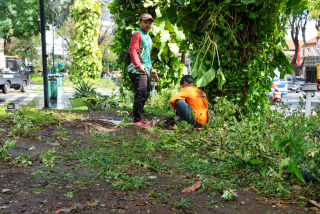 Kolaborasi Pemkot Surabaya-Pemprov Jatim, Taman Apsari Kembali Pulih Pasca Pesta Rakyat