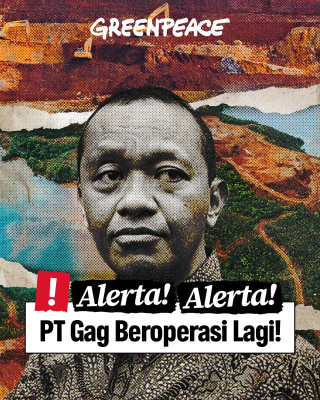PT Gag Nikel Disebut Beroperasi Lagi di Raja Ampat, Greenpeace Kecam Pemerintah