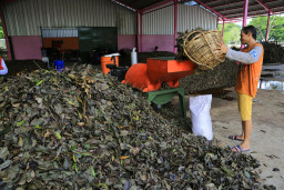Olah Sampah Organik Jadi Pupuk, DLH Surabaya Hemat Biaya Angkutan Rp6,73 Miliar per Tahun