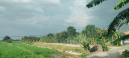 HATI-HATI! Jual Beli Rumah-Tanah Kavling di Kawasan Urangagung Sidoarjo, Diduga tak Miliki Izin