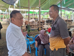DPRD Minta Kelurahan Responsif Kawal Penataan Lapak Kurban Surabaya