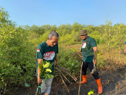 Baca juga : Jelang 1 Suro, Laskar Hijau Kembali Lanjutkan Penanaman Mangrove di Probolinggo