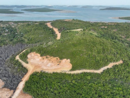 Rambah Hutan Lindung Tanjung Piayu, Kemenhut Tetapkan PT GTP Sebagai Tersangka Korporasi