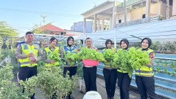 Dari Kebun ke Jalan, Ditlantas Polda Sulbar Wujudkan Ketahanan Pangan Lewat Aksi Berbagi untuk Masyarakat