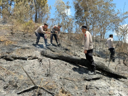 Antisipasi El Nino, Kapolres Mamasa Imbau Warga Waspada Karhutla