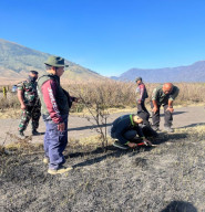 Dalami Dugaan Pidana dan Penyebab Kebakaran Bromo, Kemenhut Terjunkan Tim Ahli