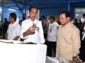 Presiden Jokowi Tinjau Unit Pengolahan Ikan Dan Budidaya Rumput Laut Di Provinsi Maluku