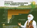Jawa Timur kembali sebagai Penghasil Padi Terbesar di Indonesia