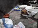 DPRD Jatim Dukung Wagub Larang Peredaran Dan Konsumsi Daging Anjing, Anwar Sadad : Dorong Payung Hukum Sehingga Pelaku Bisa Dihukum