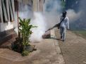 Belasan Orang Terkena Chikungunya, Dinkes Lakukan Pengasapan
