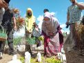 Pegawai RSUD dr. Iskak Bersihkan Makam Untuk Orang Tak Dikenal