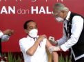 Disuntik Pertama Vaksin Sinovac, Ini yang Dirasakan Jokowi