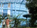 Kebun Raya Purwodadi Berhasil Selamatkan Jempina, Tanaman Langka Hampir Punah