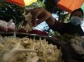FOTO: Harga Bunga Tabur Meningkat
