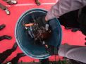 FOTO: Polres Pelabuhan Tanjung Perak Gelar Ungkap Kasus Selama 2020