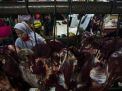 FOTO: Harga Daging Ayam dan Sapi Merangkak Naik