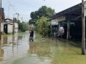 Banjir di Gresik Selatan Tenggelamkan 23 Desa