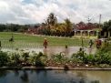 Hujan Berhari-hari, Ratusan Hektare Sawah di Tulungagung Terendam