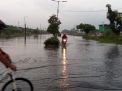 Dua Jam Hujan Deras, Beberapa Wilayah di Sidoarjo Tergenang Banjir