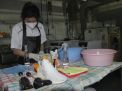 Masih Pandemi, UK Petra Surabaya Berani Kuliah Tatap Muka