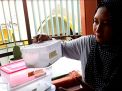 Ternak Reptil Tokek, Wanita Gresik ini Hasilkan Uang Jutaan Sebulan