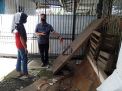 Sidak Jajanan Lebaran, Dinkes Tulungagung malah Temukan Sarang Tikus