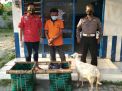 Curi Kambing demi Lebaran, Warga Gresik Mendekam di Penjara Polsek
