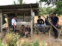 Edarkan Sabu di Tengah Sawah, Empat Pengedar Diringkus Polisi