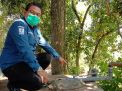 Warga Desa Tulungagung Ini Konsumsi Air Telaga Sirah yang Banyak Bakteri E. Coli, BBTKLPP Turun Tangan