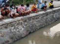 Warga Simo Sulap Sungai sepanjang 500 M menjadi Kolam Ikan, Alasannya bikin Bangga