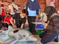 Pelatihan Penanganan Mamalia Laut Terdampar: Penyelamatan Lumba-Lumba dan Paus Berbeda dengan Ikan Hiu