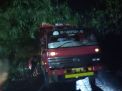 Hujan Lebat Disertai Angin Di Jombang Akibatkan 2 Mobil Tertimpa Pohon