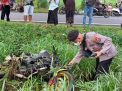 Satu Pemotor Tewas Tersambar Kereta Api Singasari di Tulungagung