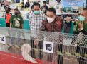Dari Kontes Merpati Hias, Cak Eri Minta UMKM Surabaya Ternak Burung