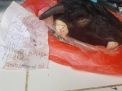 Ketua KIPP Jatim Mengaku Mendapatkan Teror Kepala Kambing