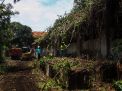 FOTO: Tak Terurus, Bangunan Cagar Budaya Penjara Kalisosok Dibersihkan