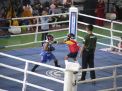 Meriahkan HJKS ke-731, Kejurda Tarung Bebas Piala Wali Kota Surabaya Digelar di Gelora Pancasila