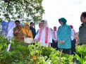 Giliran Iriana Jokowi Beraksi, Simak!