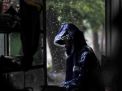 FOTO: Cuaca Ekstrim Waspada Potensi Multi Bencana Hidrometeorologi