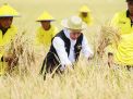 Data BPS Ungkap Petani Milenial Jatim Tertinggi di Indonesia, Khofifah Bilang Begini