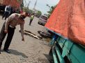 Melindas Orang hingga Tewas, Sopir Truk ini Melarikan Diri