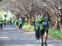 Lebih dari Seribu Pelari Berpartisipasi dalam Mangrove Eco Run 2024 Surabaya