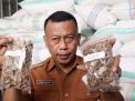 Baca juga : Ponorogo Ekspor Kunyit dan Temulawak 50 Ton ke India