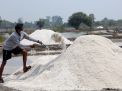 Ini Langkah Pemkot Surabaya Agar Kualitas Produksi Garam Petani Lebih Meningkat